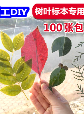 树叶标本塑封膜冷裱膜6寸A4A6手工制作相片相纸植物书签冷表膜