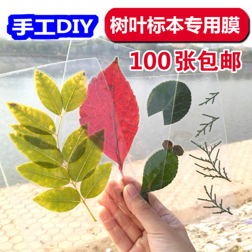 树叶标本塑封膜冷裱膜A6手工制作