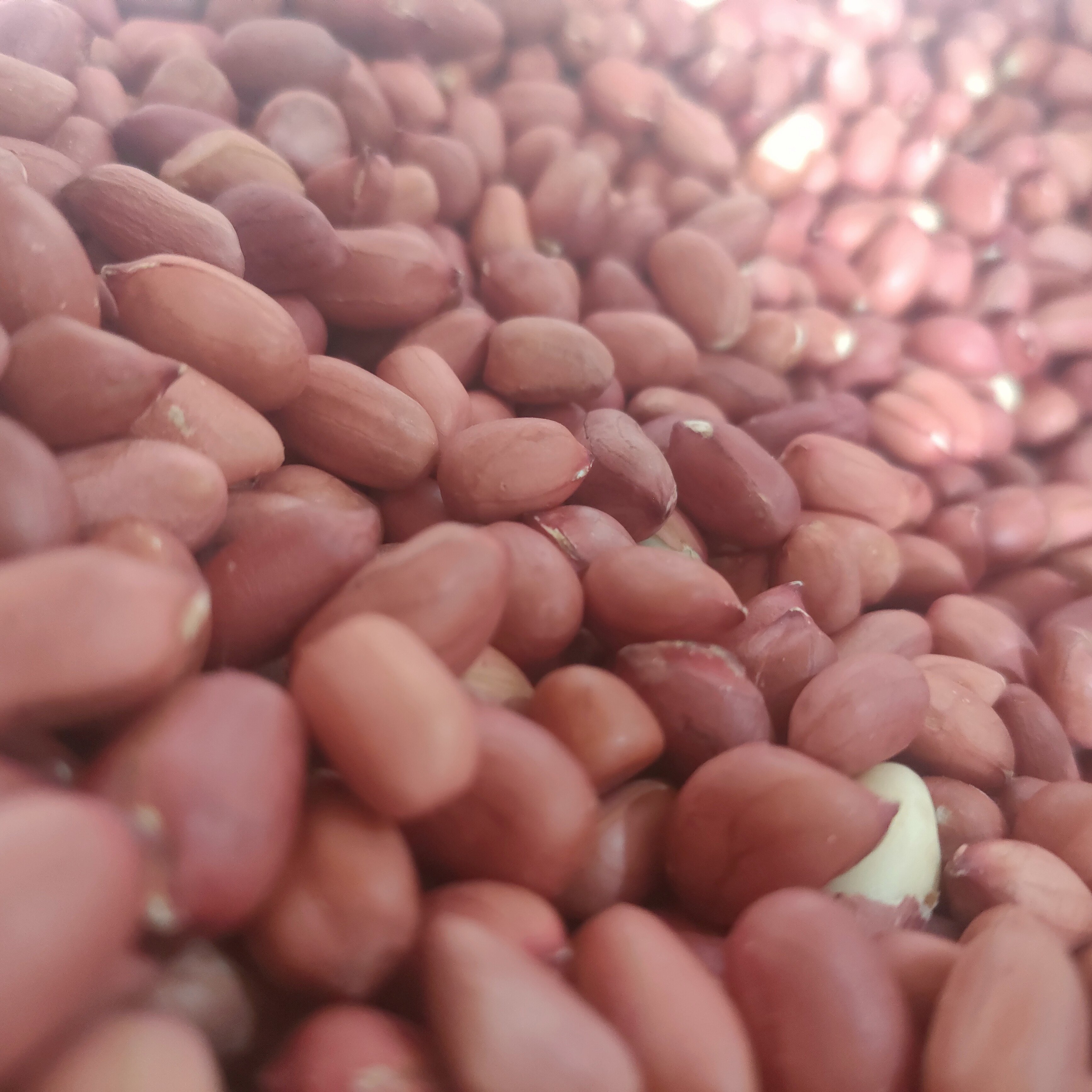 花生米新货红皮花生农家自产红衣花生米红皮小粒生花生仁