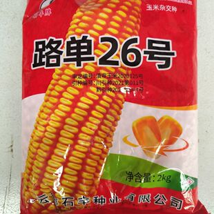 路单26号;云南石丰牌;路单二十六号玉米包谷种子正品两公斤装直销