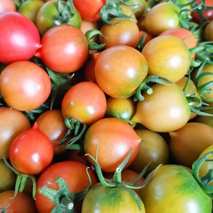 福建自然熟春桃柿子圣女果樱桃小番茄孕妇新鲜水果当季小番茄