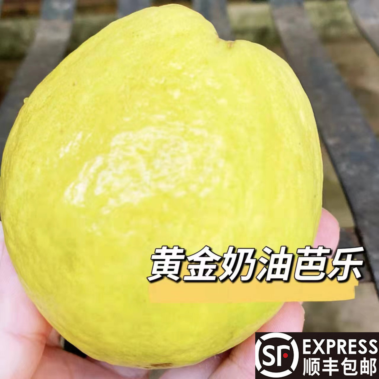 新鲜水果芭乐红心芭乐软心软糯