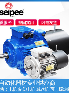 意大利原装进口现货SEIPEE马达JM GM JMM 铝壳交流三相异步电动机