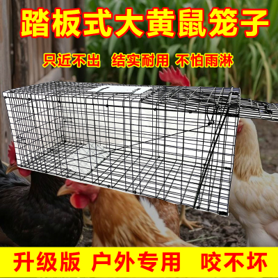 黄da仙专用药养鸡窝围栏网防大鼠狼驱赶神器陷阱抓老鼠的笼子工具