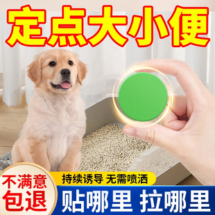 狗狗定点排便诱导剂狗大小便尿尿引诱剂训练狗上厕所神器防止乱拉