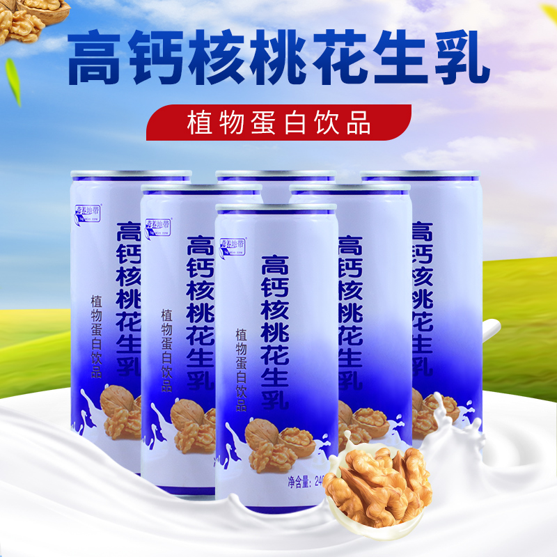 高钙核桃露送手提袋植物蛋白饮品