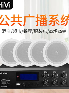 Hivi/惠威 TD206 定压吸顶喇叭吊顶音响天花喇叭 嵌入式音箱喇叭