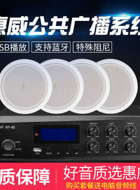 Hivi/惠威 TD201定压吸顶喇叭5寸天花吊顶音响嵌入式音箱功放套餐