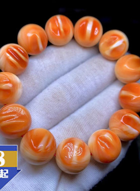 天然万宝螺手串血贝壳佛珠手链满牙齿血槽新款民族风饰品贝壳手链