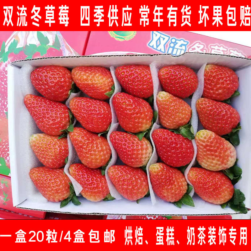 新鲜草莓1盒20粒小果蛋糕烘焙专用草莓装饰酸草莓孕妇水果4盒包邮