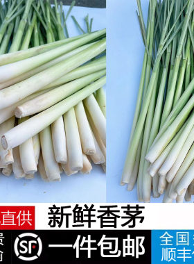 新鲜香茅草柠檬草香茅柠檬果茶泰国冬阴功汤原料火锅调料顺丰包邮
