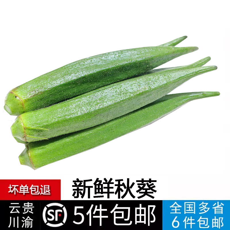 新鲜蔬菜水果秋葵黄秋葵六角羊角豆沙拉食材500g 5件包邮