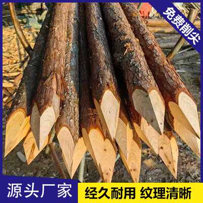 杉木桩打桩立柱户外河道工程测量定点围栏园林绿化树木支撑杆