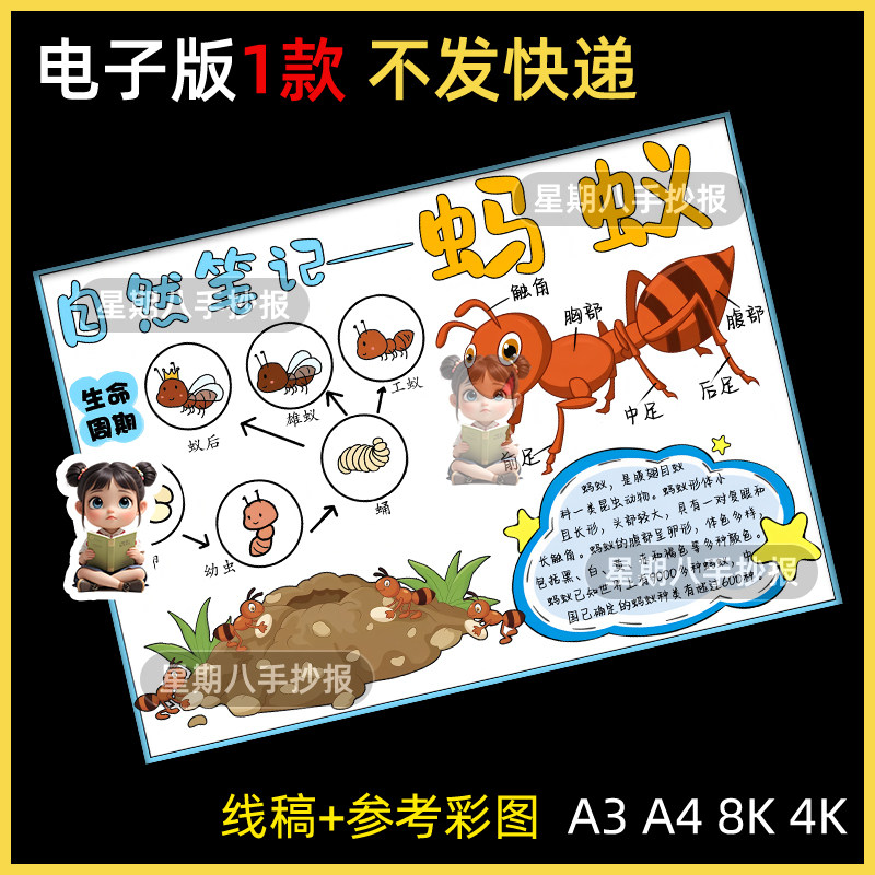 蚂蚁名片手抄报昆虫观察记录动物自然笔记电子版小报线稿涂色线稿