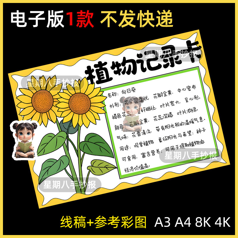 向日葵植物名片手抄报电子线稿小学生自然笔记植物记录卡小报A4A3