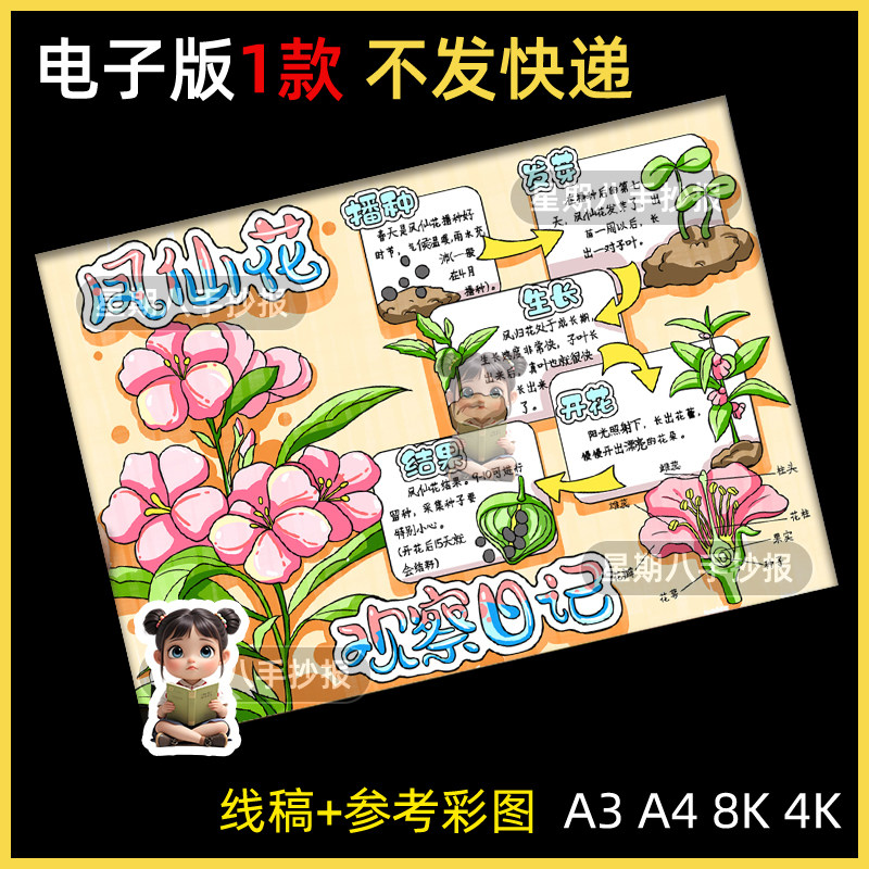 凤仙花自然笔记植物成长记录名片卡生长过程观察绘画手抄报模板a4