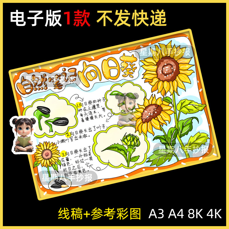 向日葵自然笔记手抄报模板小学生植物观察生长成长过程记录卡线稿