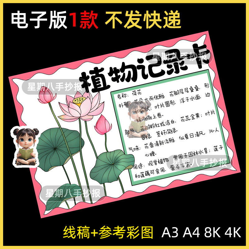 植物记录卡手抄报荷花观察记录卡植物名片自然笔记成长线稿儿童画