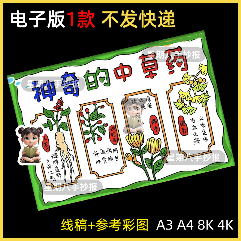 神奇的中草药手抄报模板简单可打印手绘线稿小学生认识中医药文化