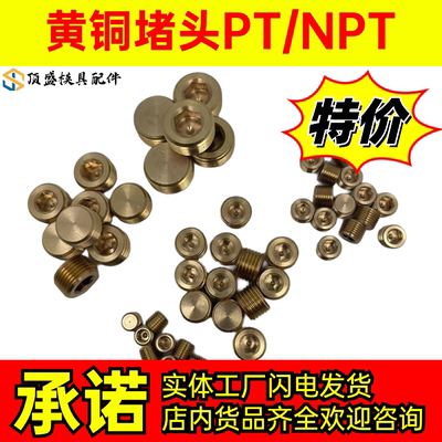 黄铜堵头PT/NPT黄铜喉塞