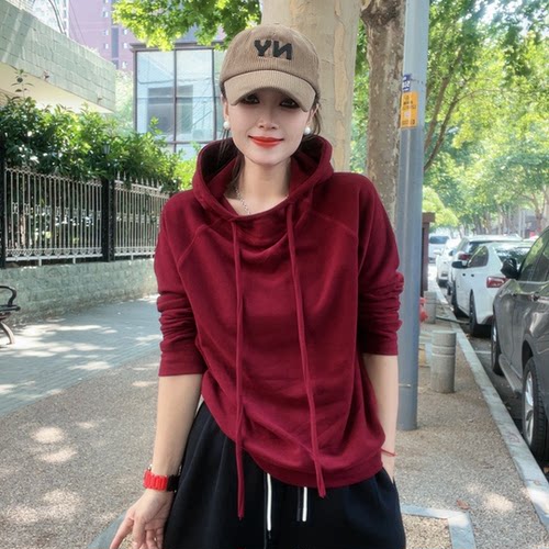 欧洲站2025双面绒秋冬新款保暖个性气质感纯色百搭休闲连帽卫衣女