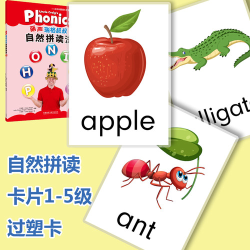 自然拼读卡片英语教具英语闪卡英语单词卡片丽声瑞瑞格教学卡片