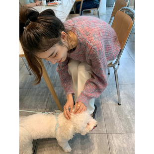 慵懒宽松版 马海毛毛衣 质感蓬松微透组织 色系美炸 保持松弛感