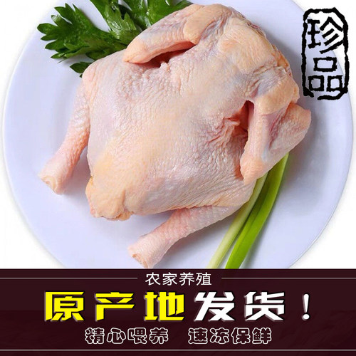 西装鸡童子鸡去头去爪炸鸡原材料