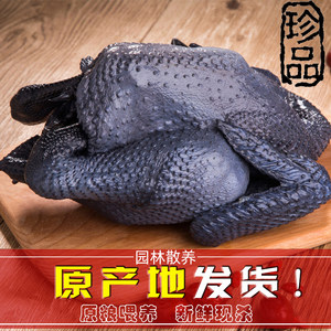 新鲜散养乌鸡整只不带内脏