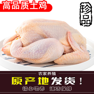 农家土鸡三黄鸡冷冻新鲜童子鸡笨鸡整只包邮白条鸡生鸡肉草鸡正品