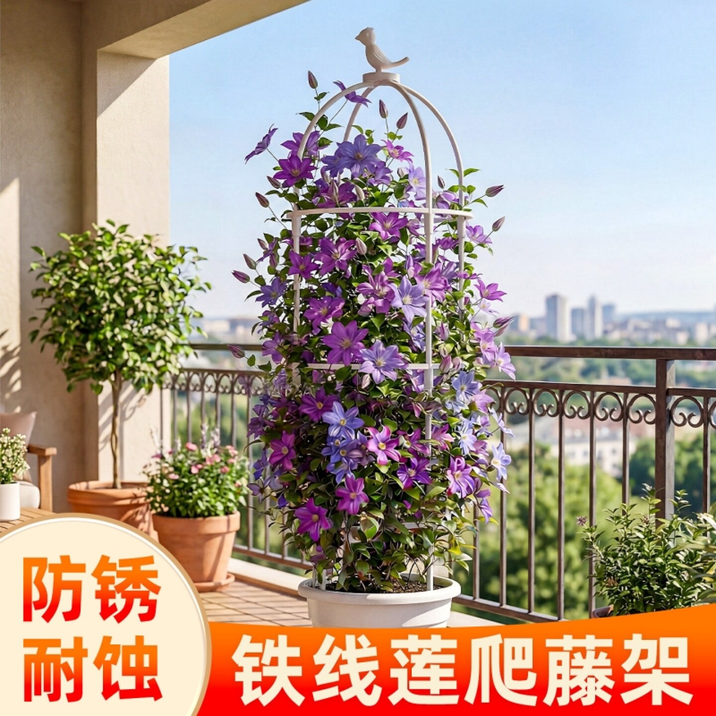 花卉支撑杆阳台户外植物支撑架月季爬藤架植物攀爬架铁线莲支撑架