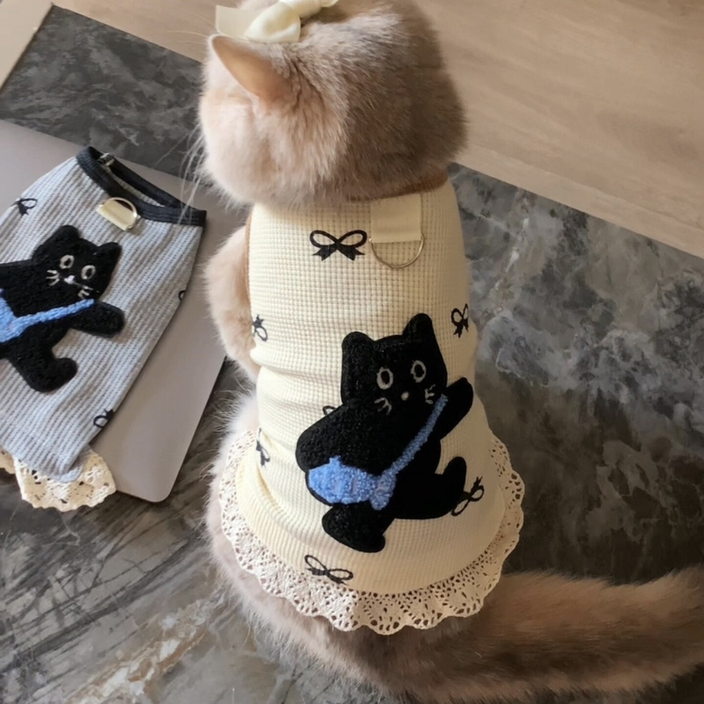 猫衣服防着凉春秋薄款背心透气舒适金渐层布偶卡通背心宠物狗狗服