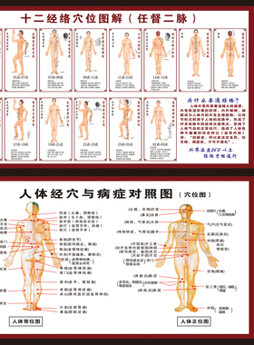 人体十二经络挂图中医十四正经