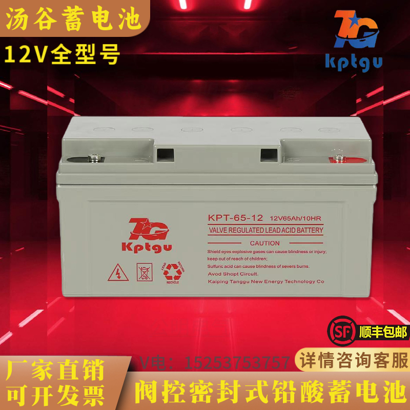 TG汤谷蓄电池KPT12V120AH100AH65AH38AH17AH7AH/UPS/EPS/机房基站