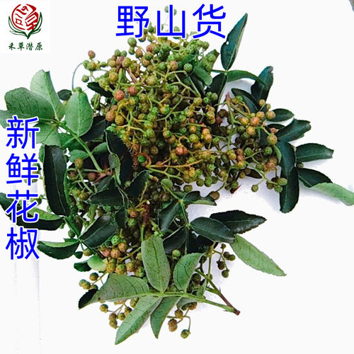 沂蒙山野生现摘头茬青红花椒