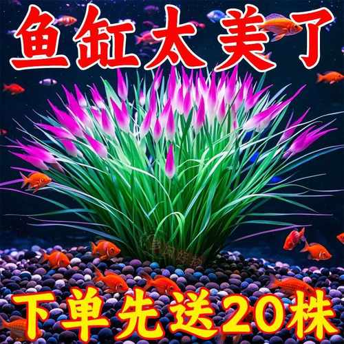 鱼缸造景无毒仿真水草