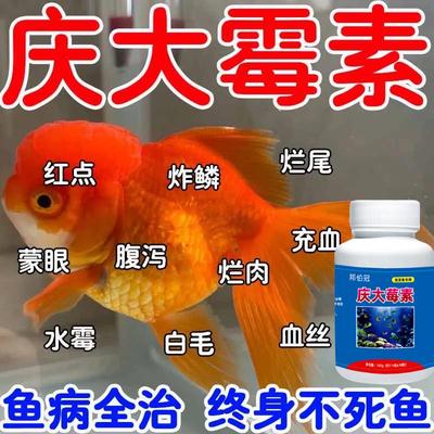 庆大霉素鱼用金鱼锦鲤消毒烂尾