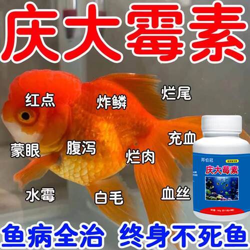 庆大霉素鱼用金鱼锦鲤消毒烂尾