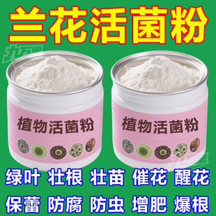 正品 植物活菌粉兰花专用微生物菌剂养根壮根防烂根水溶肥养花肥料