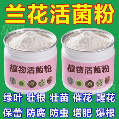 植物活菌粉兰花专用防烂根