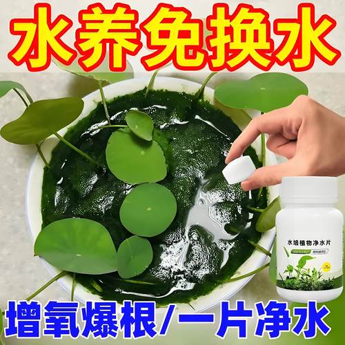 水培植物杀菌除臭净水片