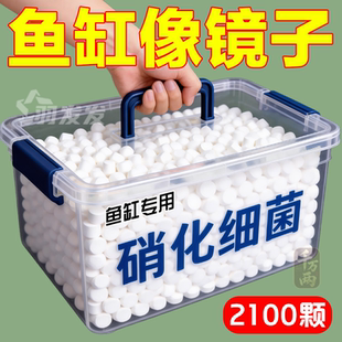 鱼缸硝化细菌澄净化水质除臭去腥鱼缸水族箱鱼池清水养鱼净水剂