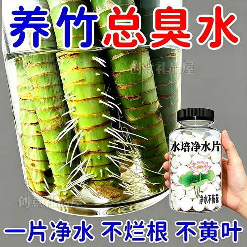 2026新升级【水培植物净水片】