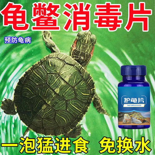 其他家护龟片一泡龟病清