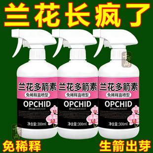 兰花多箭素爆芽素专用营养液蝴蝶兰多剑王兰灵王营养液开花肥料