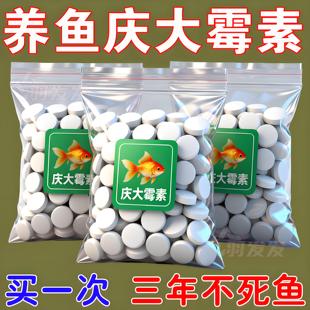 庆大霉素鱼用水族鱼药烂肉烂充血炸鳞腹水鱼药烂身烂