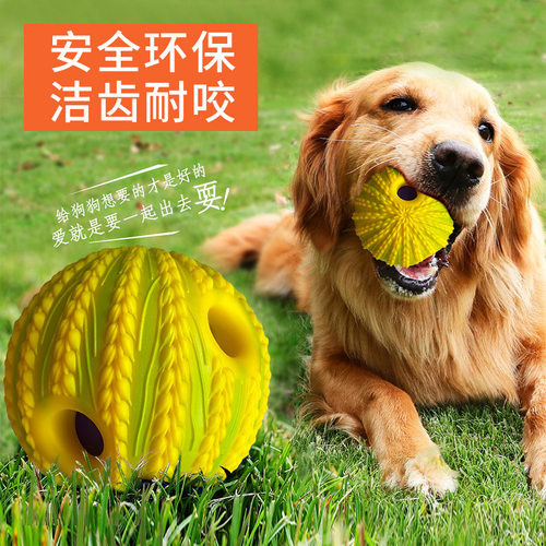亚马逊爆款狗狗发声耐咬磨牙球