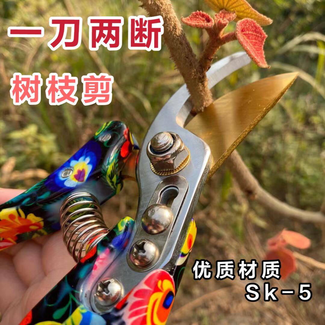 果树修枝剪园艺剪园林省力花艺工具粗枝剪家用剪子摘果神器