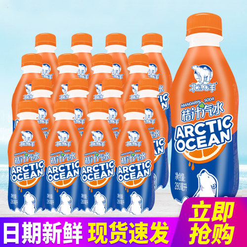 北冰洋含真果汁果汁碳酸饮料