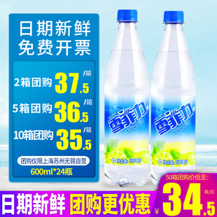 包郵 團購夏日解暑降溫碳酸汽水 24瓶整箱 上海發(fā)雪菲力鹽汽水600ml